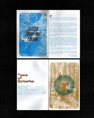 How it Heals? Fanzine - Issue 002