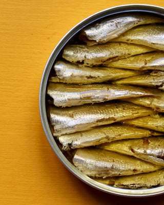sardines